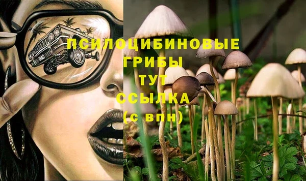 метамфетамин Пестово