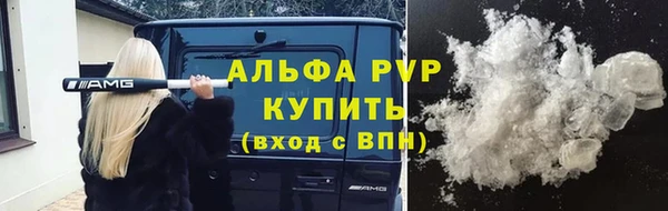 СК Пересвет