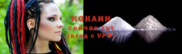 СК Пересвет