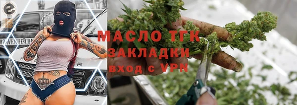 СК Пересвет
