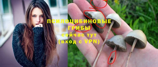 а пвп мука Переславль-Залесский