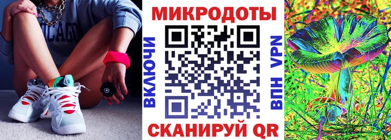Псилоцибиновые грибы Psilocybine cubensis Владикавказ