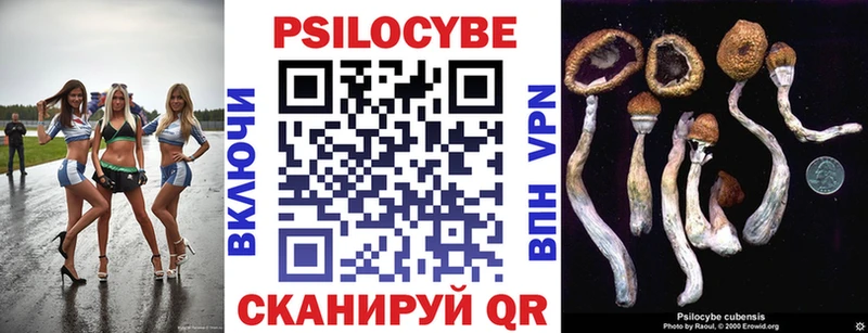 как найти наркотики  Владикавказ  Галлюциногенные грибы GOLDEN TEACHER 