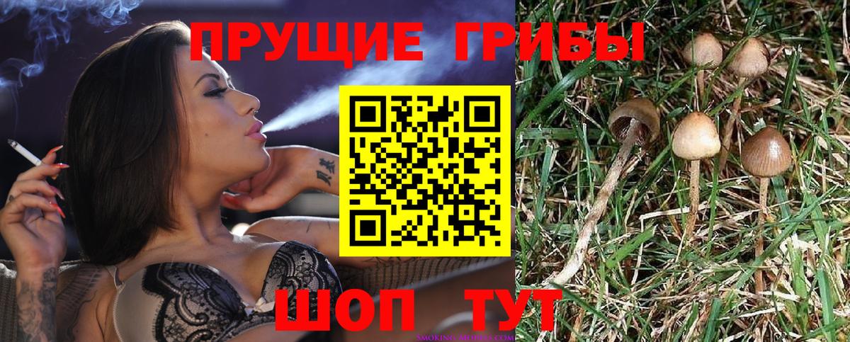 Галлюциногенные грибы мухоморы  Владикавказ 