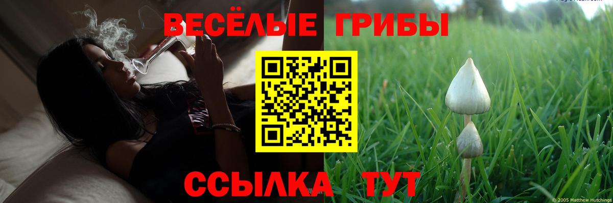 Галлюциногенные грибы Magic Shrooms Владикавказ