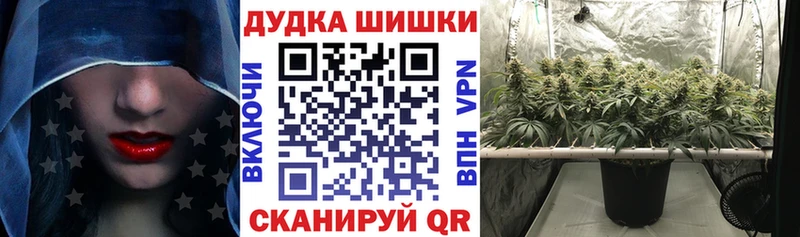 Бошки Шишки конопля  дарнет шоп  Владикавказ 
