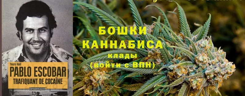 Конопля Ganja  как найти закладки  Владикавказ 